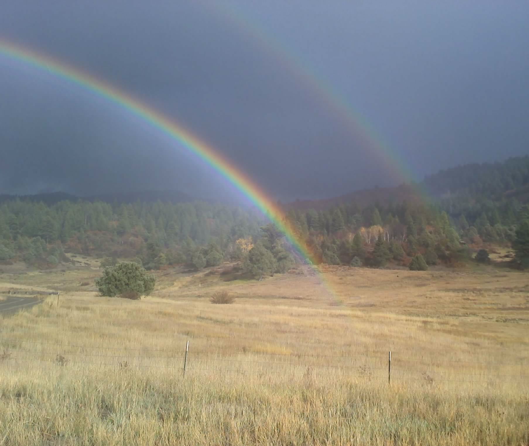 Albuquerque Tenant Screening