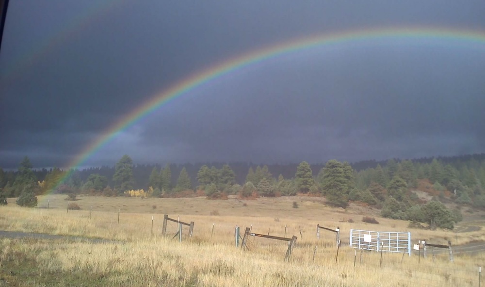 Albuquerque Accounting